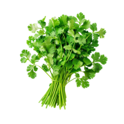Coriander Leaves